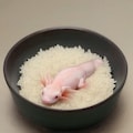 ウーパールーパー丼 3枚目