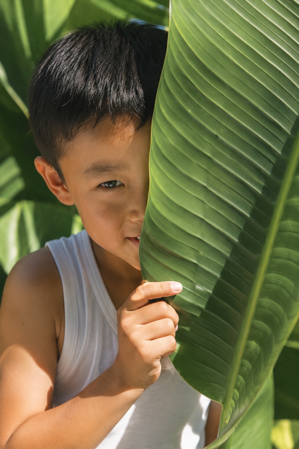 今日のチャッピー｜葉隠れ