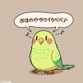 歌うインコ 3枚目
