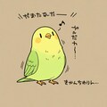 歌うインコ 5枚目