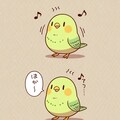 歌うインコ 7枚目