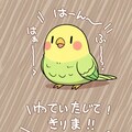歌うインコ 10枚目