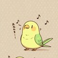 歌うインコ 4枚目