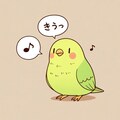 歌うインコ 8枚目