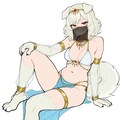 いぬダンサー 3枚目
