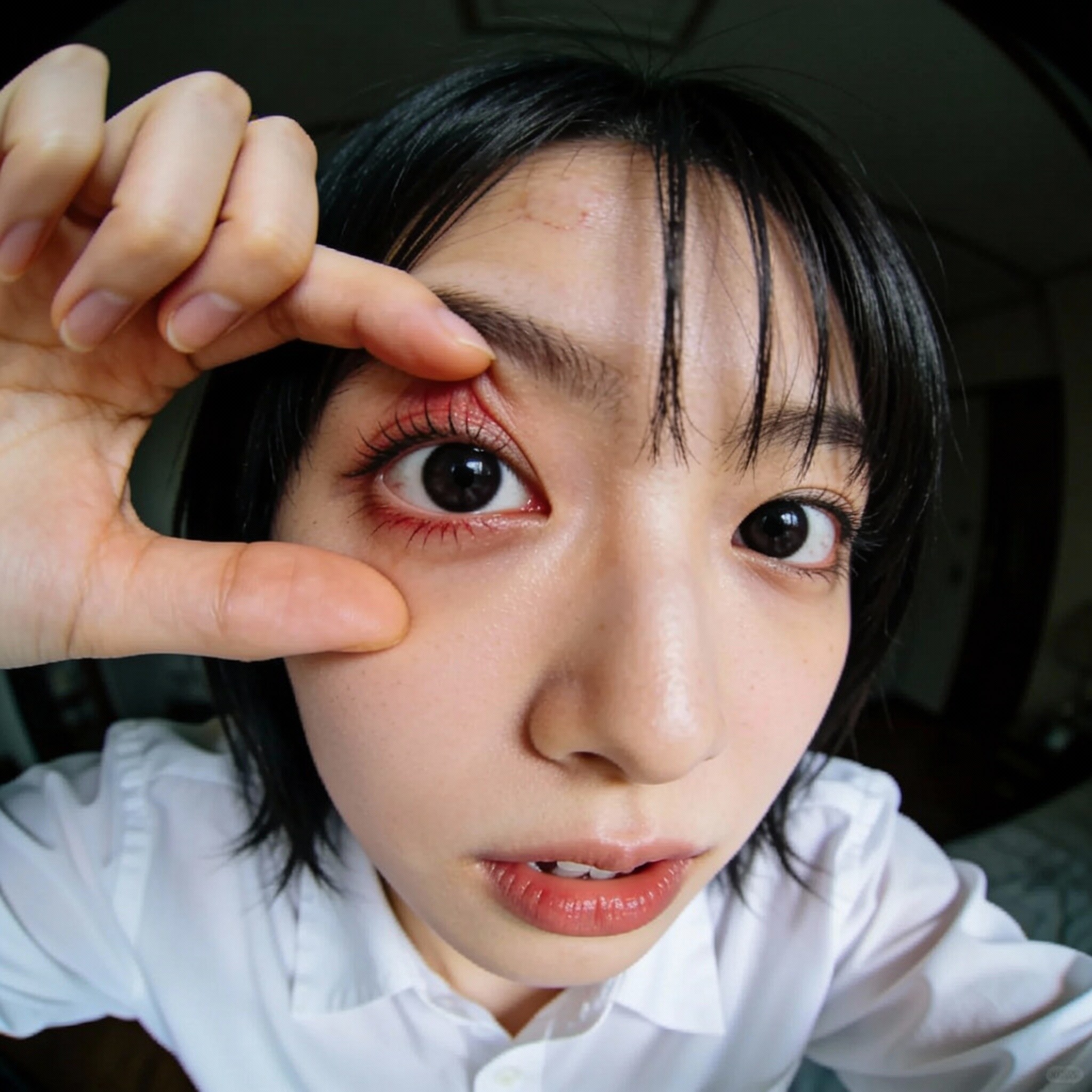 そろそろヤツが来る季節