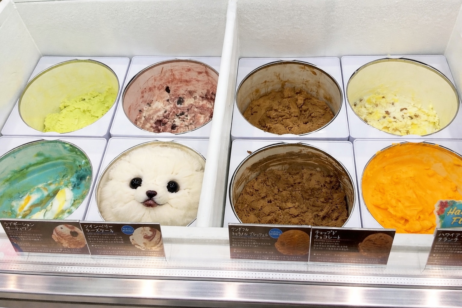 【アイスクリーム】ショーケースに潜む可愛い子ちゃん | の人気AIイラスト・グラビア