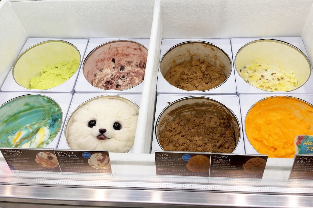 【アイスクリーム】ショーケースに潜む可愛い子ちゃん