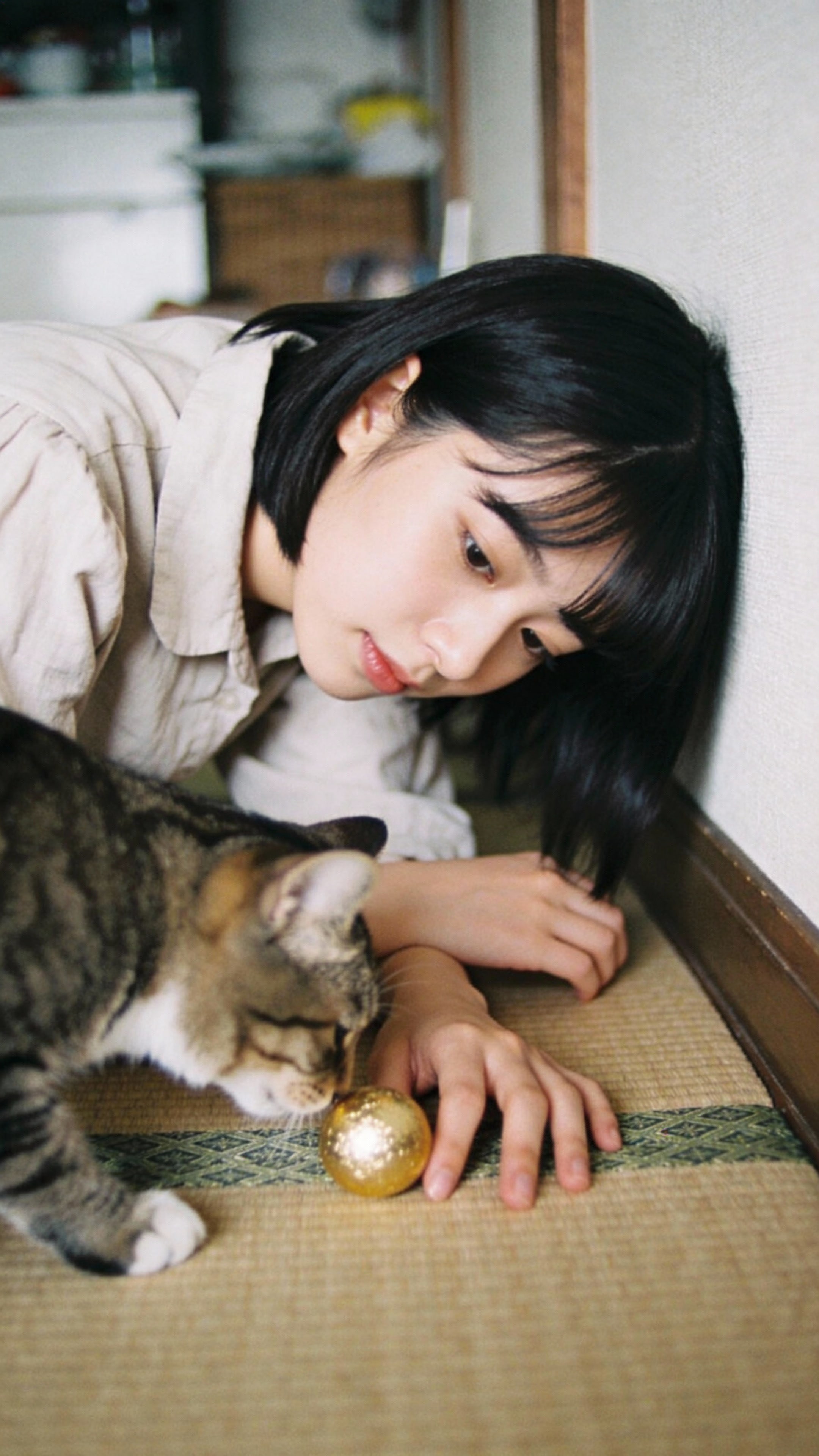 Domestic Sunrise with a Golden Toy | の人気AIイラスト・グラビア