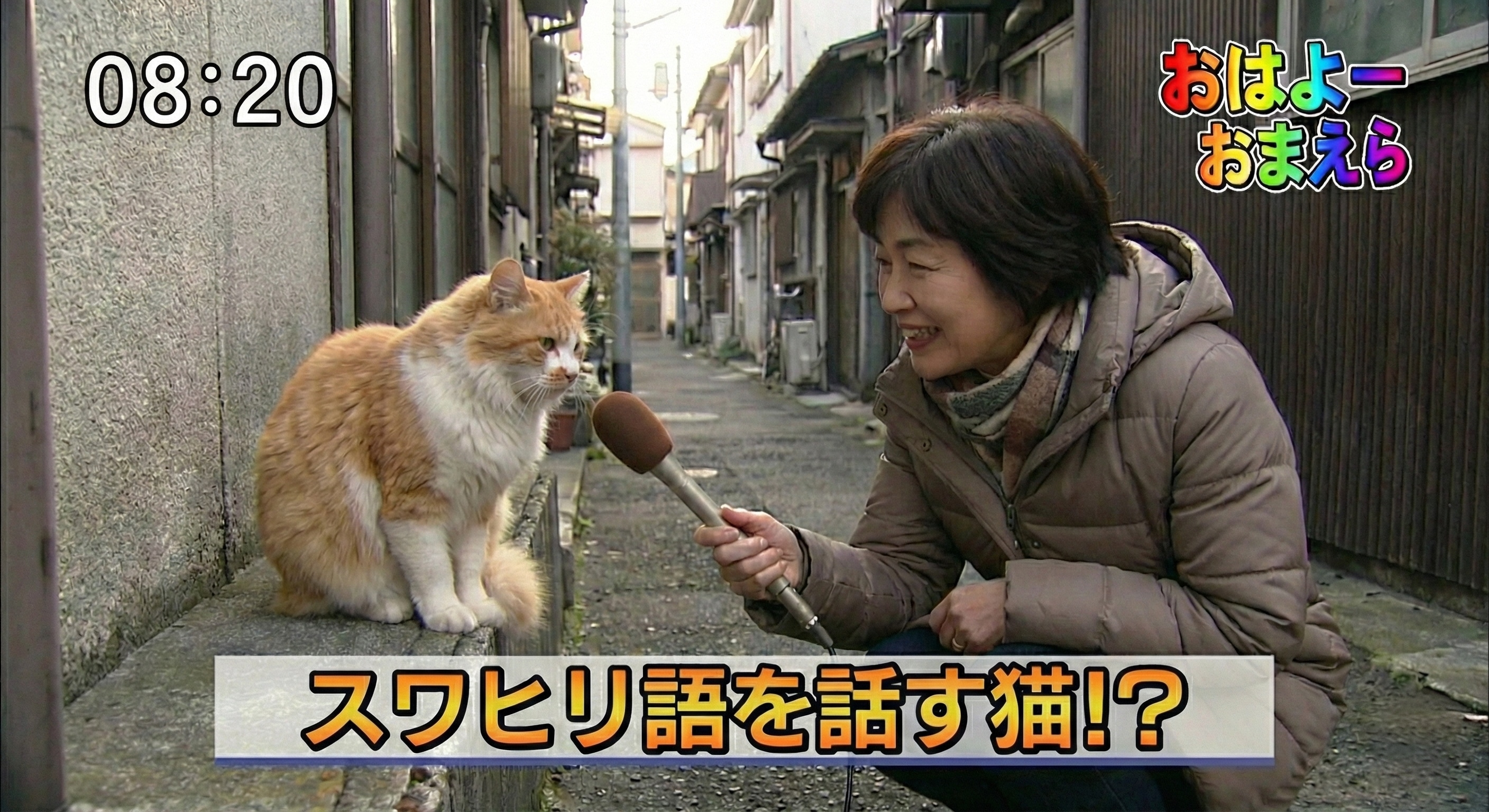 こういうニュースだけを見ていたい | の人気AIイラスト・グラビア