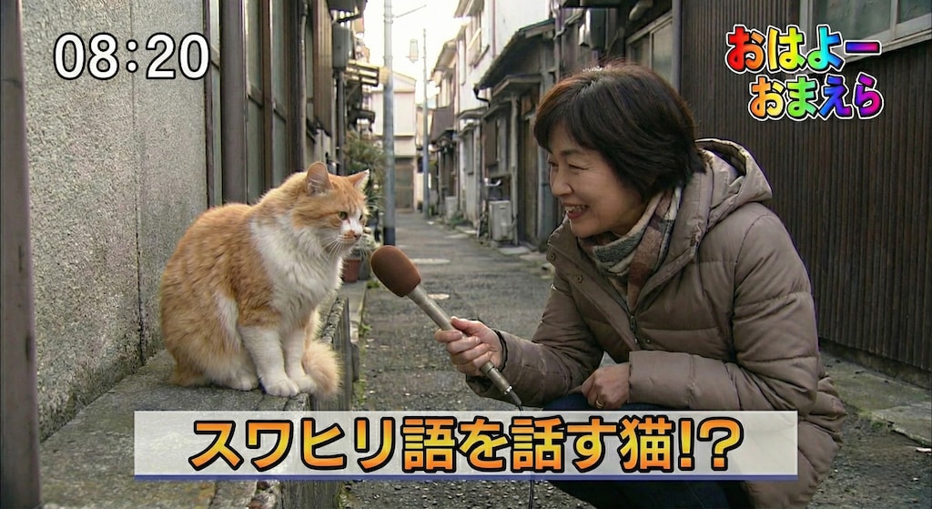 こういうニュースだけを見ていたい