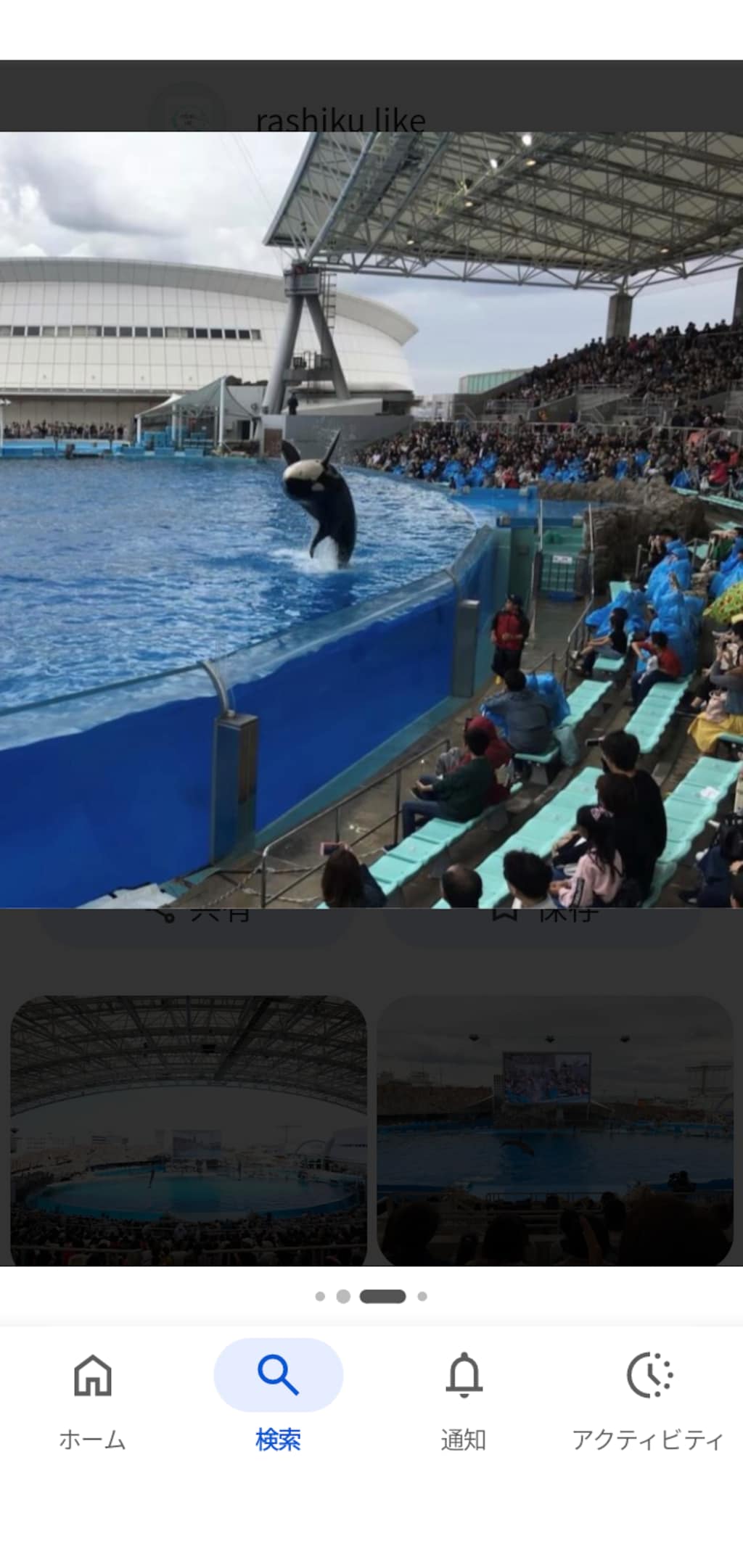 うちの子、夏休みの思い出。🐬💦🔴