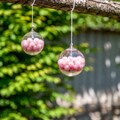 桃玉風鈴 4枚目