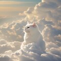 猫雲 4枚目