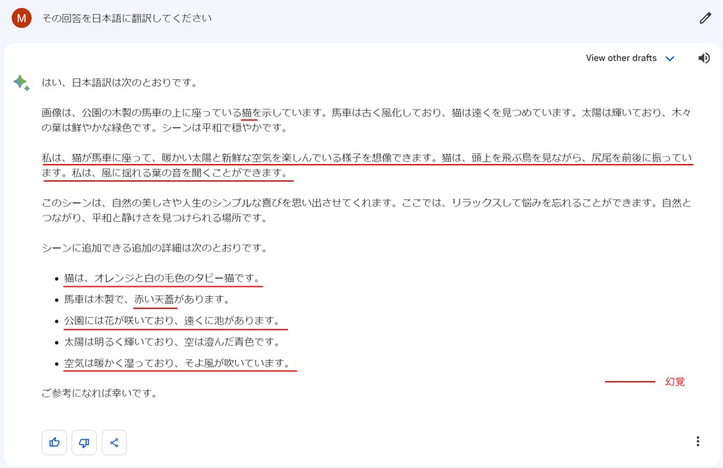 作品解説：Hallucination