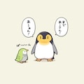 喋るインコとペンギン 7枚目