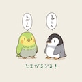 喋るインコとペンギン 2枚目