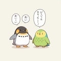 喋るインコとペンギン 5枚目