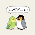 喋るインコとペンギン 12枚目