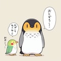 喋るインコとペンギン 6枚目