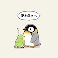 喋るインコとペンギン 3枚目