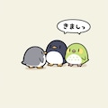 喋るインコとペンギン 11枚目
