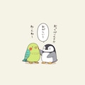 喋るインコとペンギン 8枚目