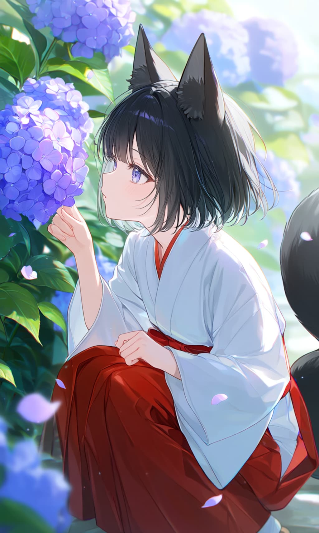 紫陽花