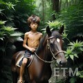 エクウス 6枚目