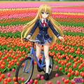 サイクリング_TULIPちゃん(2) 2枚目