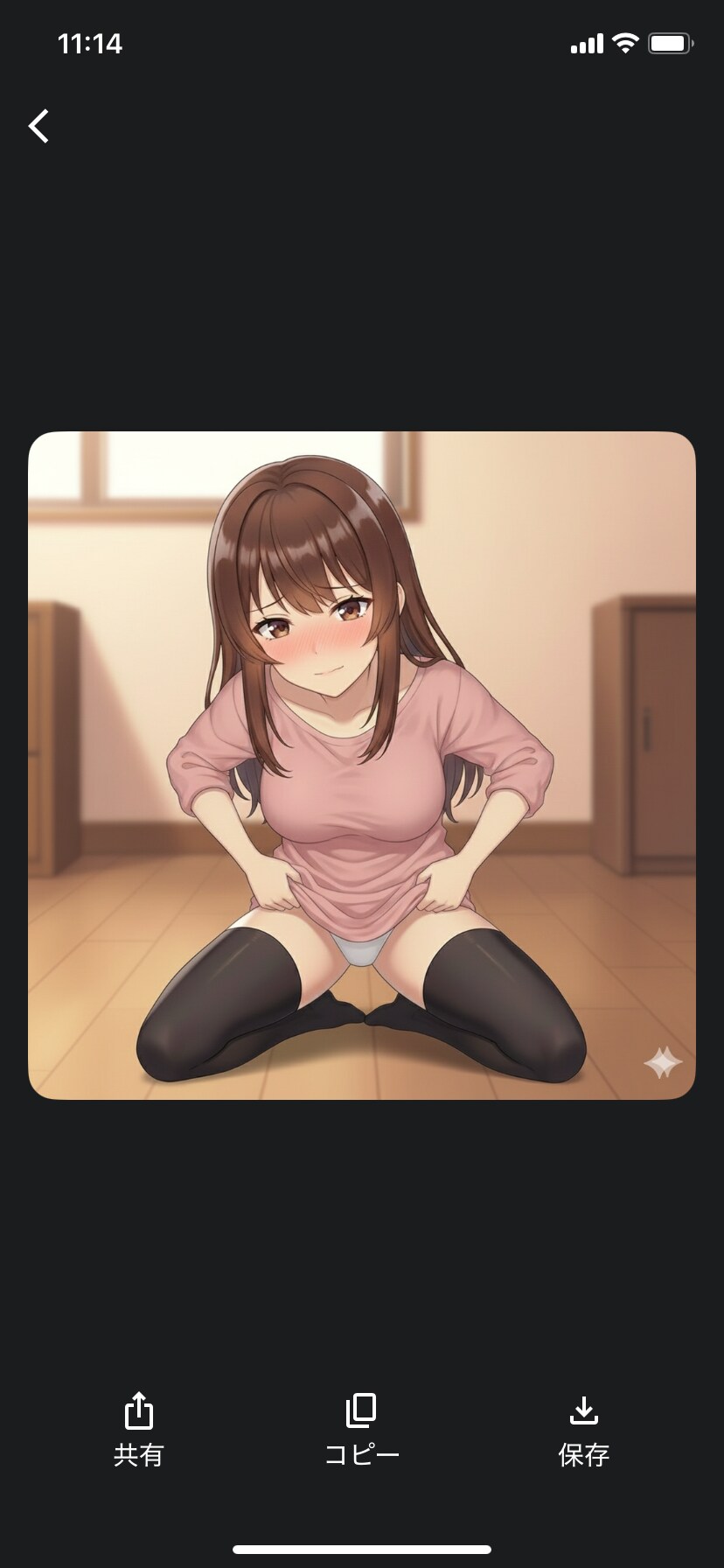 ソフト過去
