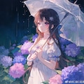 紫陽花と少女 4枚目
