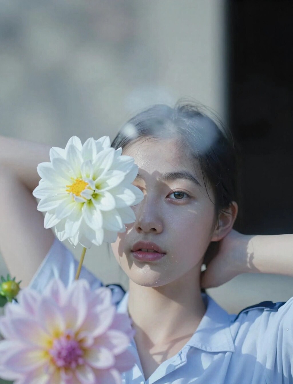 花と光と影 | の人気AIイラスト・グラビア