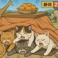 複数の猫がこたつの中に入り込んでいる, 猫同士で場所を取り合っている, 蜜柑, 6枚目