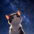 猫の夜 2枚目