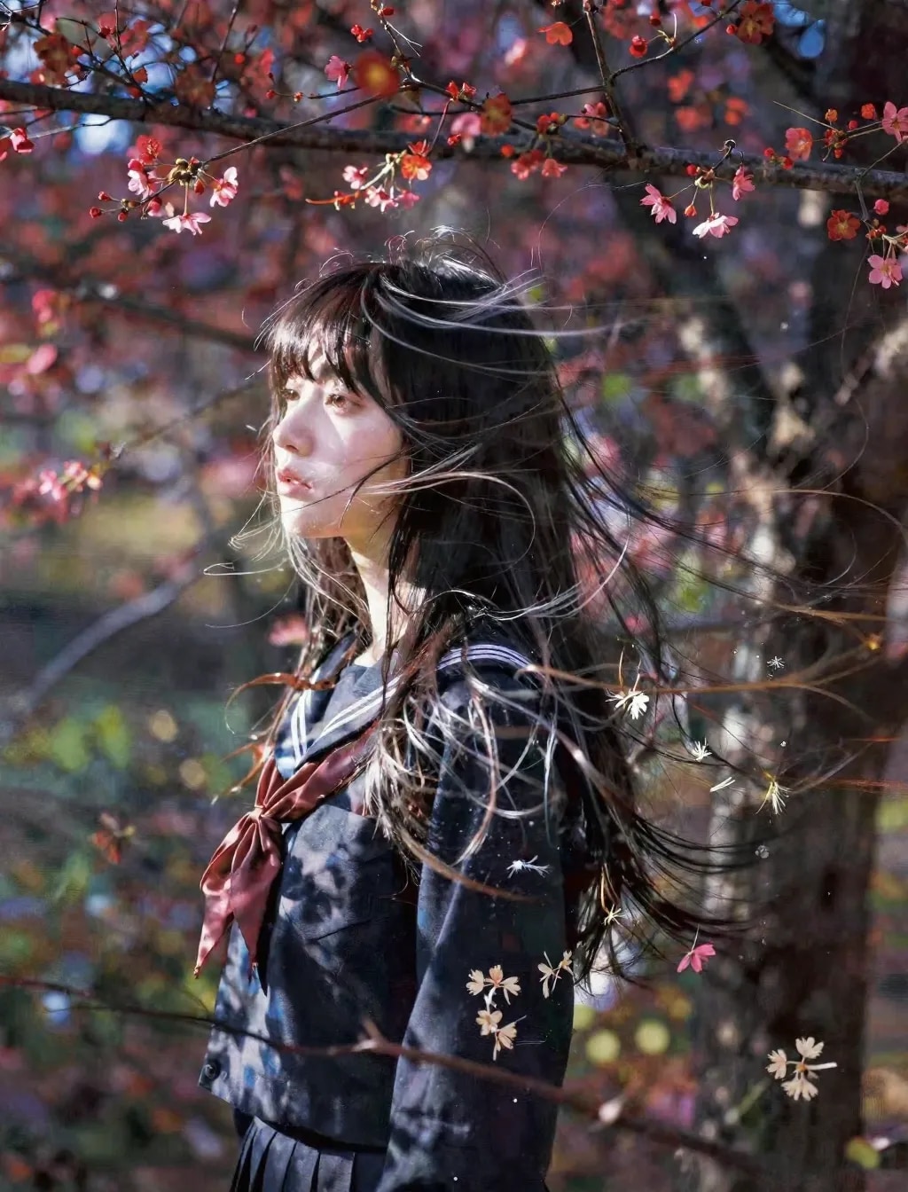 セーラー服と光の加減