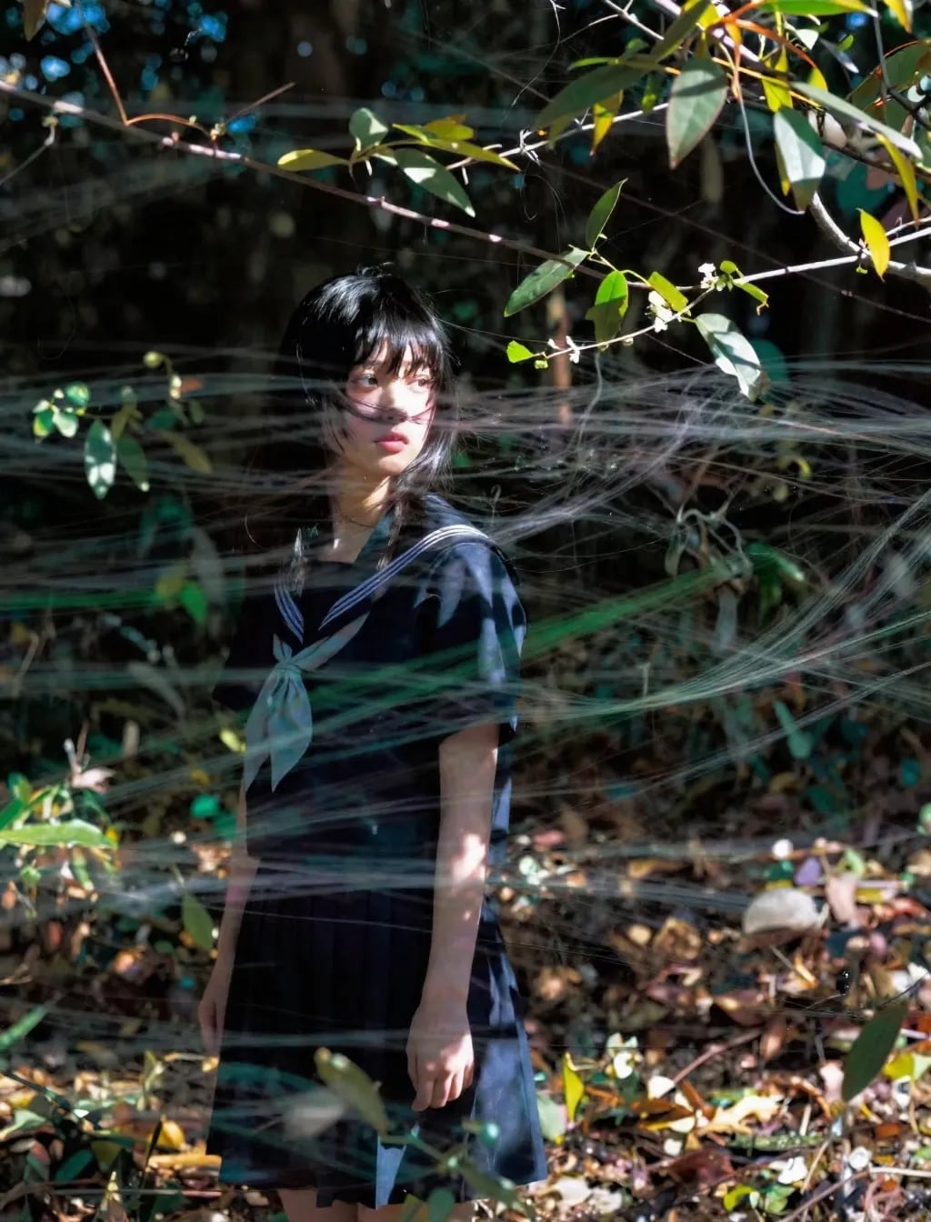 セーラー服と光の加減