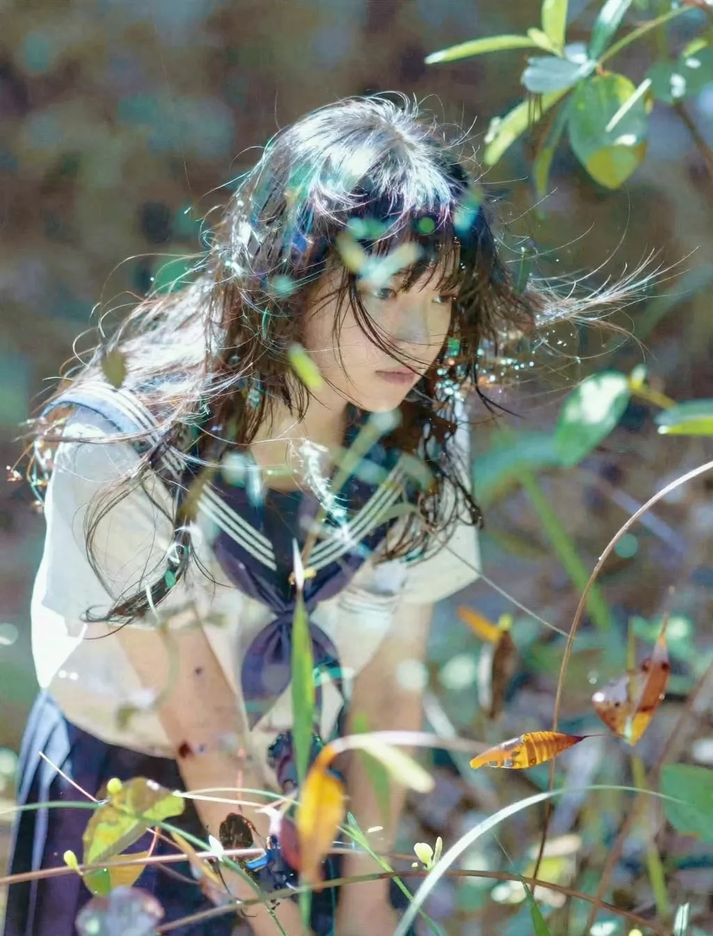 セーラー服と光の加減