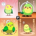 喋るインコ正常化 7枚目
