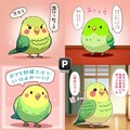 喋るインコ正常化 2枚目
