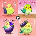 喋るインコ正常化 9枚目
