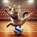 バレーボールをする猫 7枚目