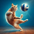 バレーボールをする猫 5枚目