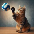 バレーボールをする猫 2枚目