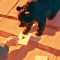 お手紙待つくまさん🐾 4枚目