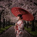 桜散らしの雨 6枚目
