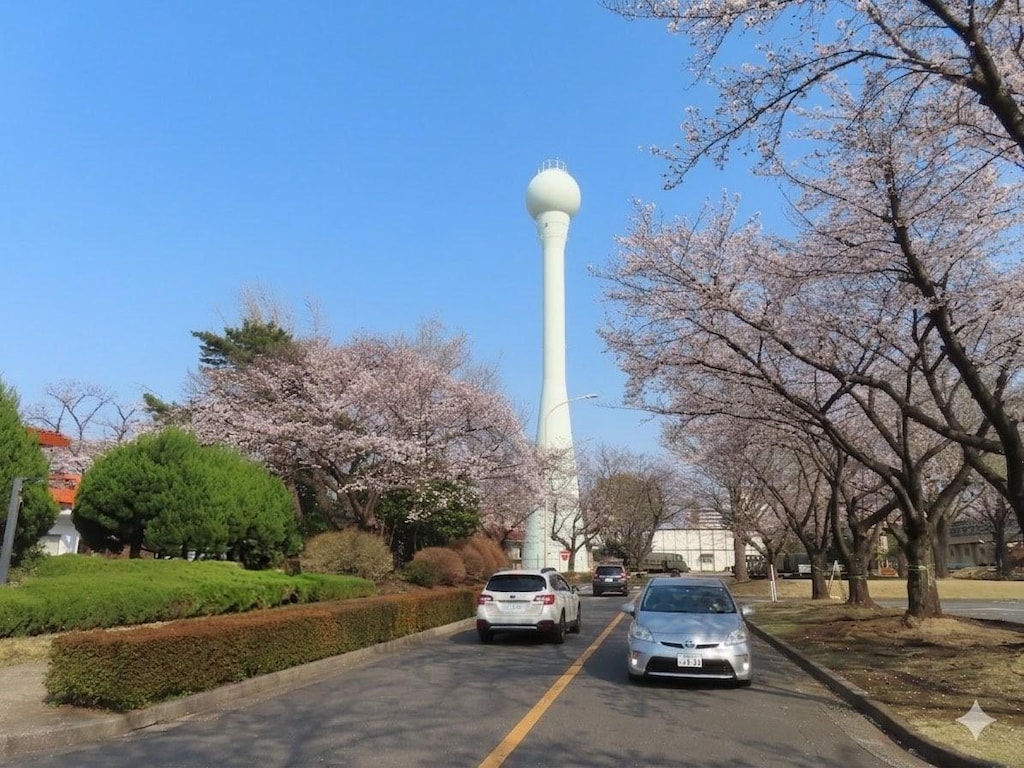 道路を行く自動車