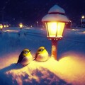 White-eyes in winter night (1) 5枚目