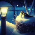 White-eyes in winter night (1) 3枚目