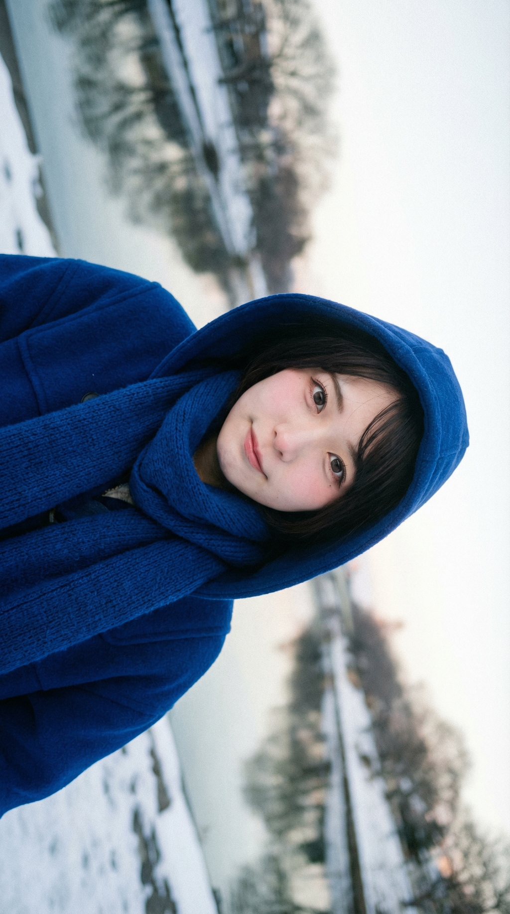 Wrapped in Royal Blue